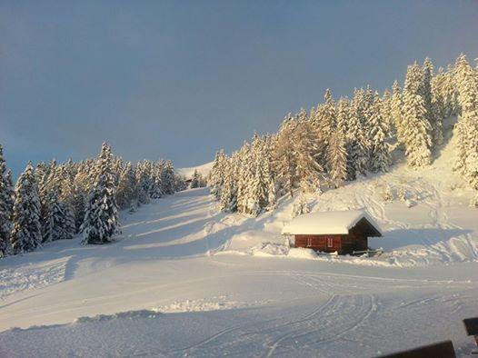 Gasthaus Furlhuette วิปิเตโน ภายนอก รูปภาพ